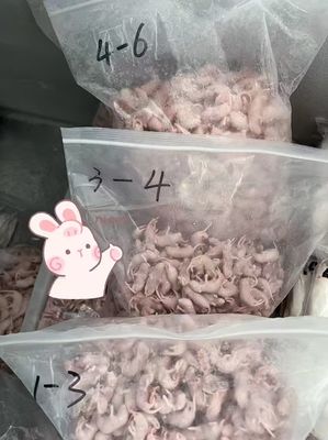 Buy Sterilized Frozen Small Pinkies Mice Nutritious Staple For Snakes Lizards Reptile online manufacture