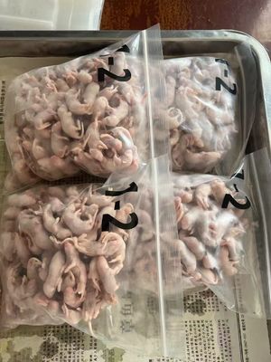 kupować Herpetoculturists Gady Żywność węża Pinkies Płaszczyste Żywe Myszy Dla Pijona Piłka online manufacture