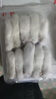 주문 중형 젖을 끊은 북극 쥐 냉동 쥐 무량 설치류 online manufacture