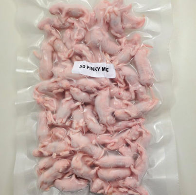 ซื้อ การให้อาหารตามธรรมชาติสำหรับสัตว์เลื้อยคลานและนกนักล่า หนูแช่แข็งและหนู 1000000 จำนวน รสชาติตามธรรมชาติ online manufacture