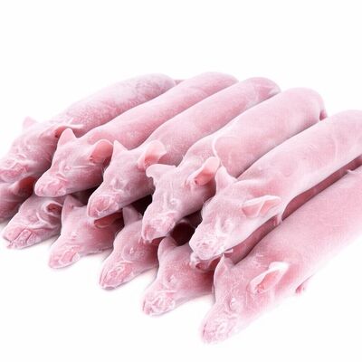 Buy Adult Age Frozen Rats High In Protein And Fat Approximately 200g For Reptiles And Birds Of Prey online manufacture