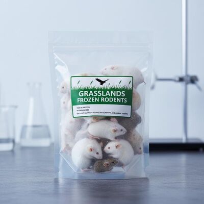 Buy Grasslands Sourced Frozen Rodents High Protein Pathogen Free for Reptiles and Birds of Prey online manufacture