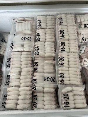 2 Year Shelf Life Frozen Rats for Adult and Frozen Shipping Method