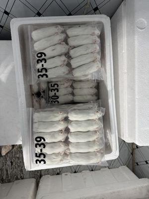 좋은 가격 50/패크 대량 먹이 쥐 북극 쥐 작은 쥐 스커크 독수리 호크 온라인으로
