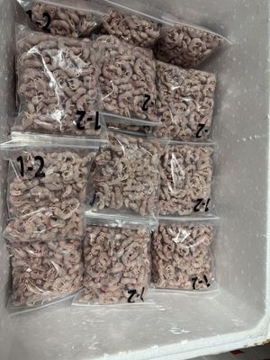 قیمت خوب OEM نوزاد تازه متولد شده قطب شمال سرخ شده موش های تغذیه کننده پنجی رژیم غذایی جوندگان موی آنلاین