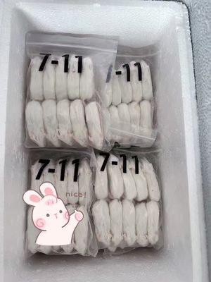 Newborn Arctic Mice Large Rat Frozen Bulk Feeder Mice Protein Diet For Reptiles