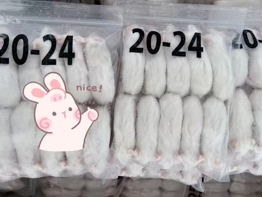 좋은 가격 홉퍼 냉동 쥐 설치류 소형 젖을 끊는 새끼 핑키 뱀 도마뱀 온라인으로