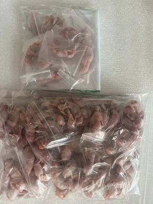 좋은 가격 녹은 냉동 뱀 음식 핑키 쥐 설치류 큰 생식 동물 온라인으로
