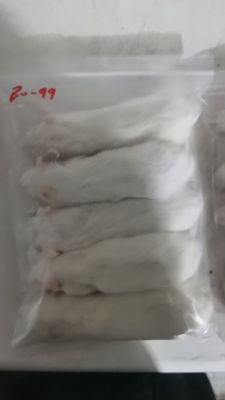 ราคาดี โปรตีนสูง แฟลช แมลงแข็ง แมลงละลาย จองออนไลน์ 20g ออนไลน์