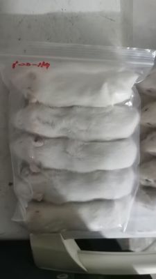 Proteína alta ratas congeladas reptiles grandes destetados alimento para animales carnívoros