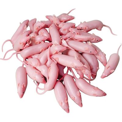 Adult Farm-raised Frozen Rats High In Protein And Fat for Reptiles and Birds of Prey