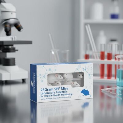 Good price 25-30 Grams SPF Laboratory Mice for Research with Specific Pathogen-Free Status and Regular Health Monitoring online